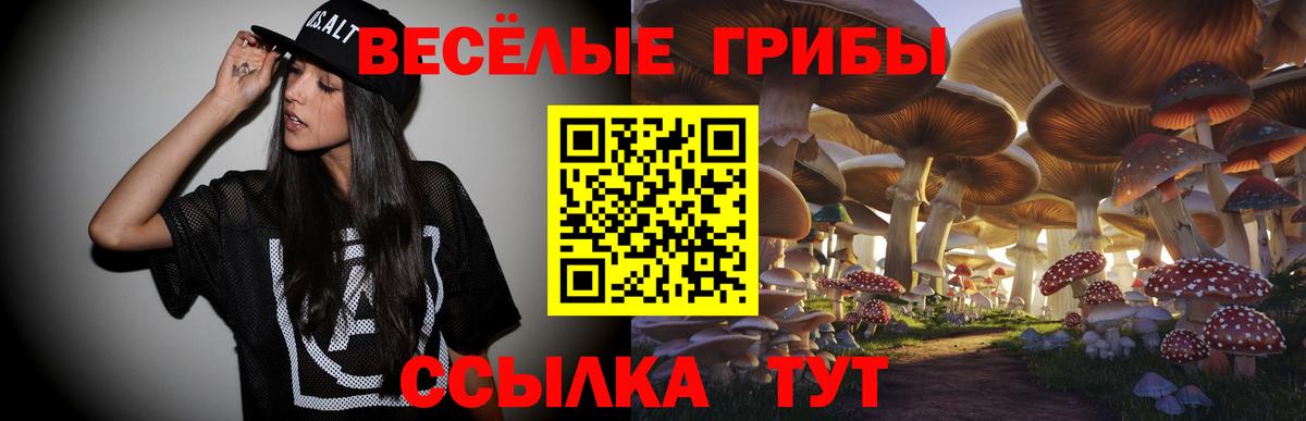 Псилоцибиновые грибы мицелий  Вход с VPN  Новоалтайск 